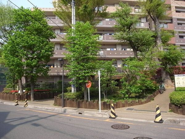 【ハートヒルズ21朝霞の森】前面道路 【ハートヒルズ21朝霞の森】前面道路