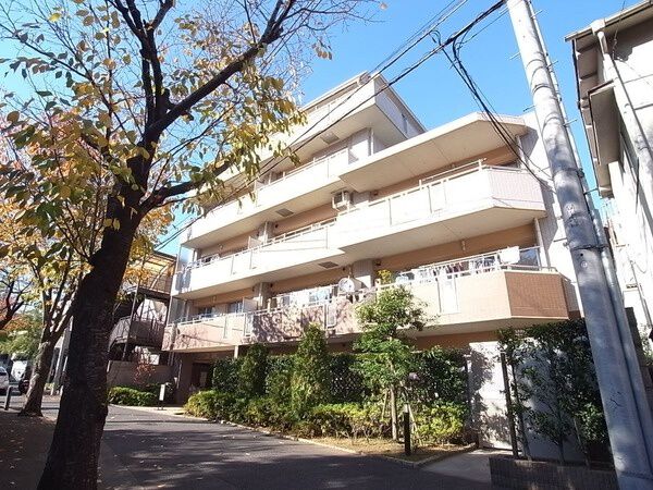 セザールデュオラック成増 2枚目 セザールデュオラック成増