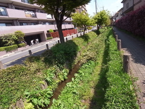 【ヴィルヌーブ清瀬】前面の用水路
