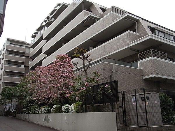 ライオンズステージ志木