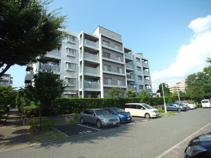 青葉の森公園通り