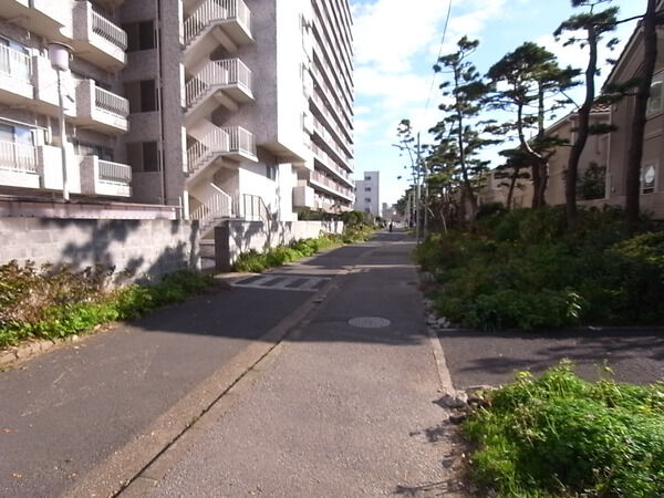 【稲毛カトレア】南側は遊歩道に面す 【稲毛カトレア】南側は遊歩道に面す