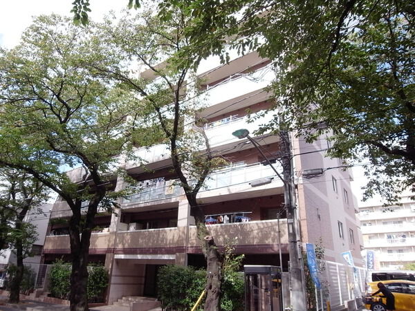 ミオカステーロ常盤平