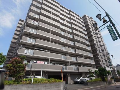 外観 外観