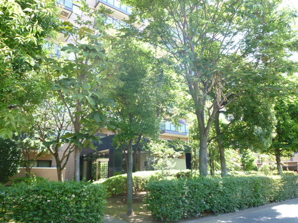 【グランドメゾン津田沼】敷地内緑地