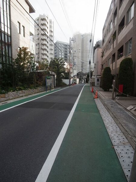 【藤和白金台ホームズ】前面道路