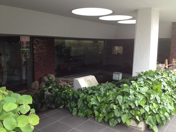 南青山アパートメンツ