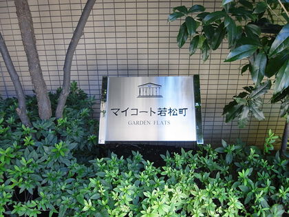 マイ コレクション コート 若松 町