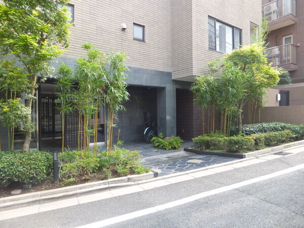 アデニウム文京本駒込