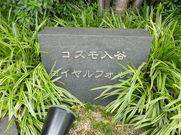 【コスモ入谷ロイヤルフォルム】エントランス１