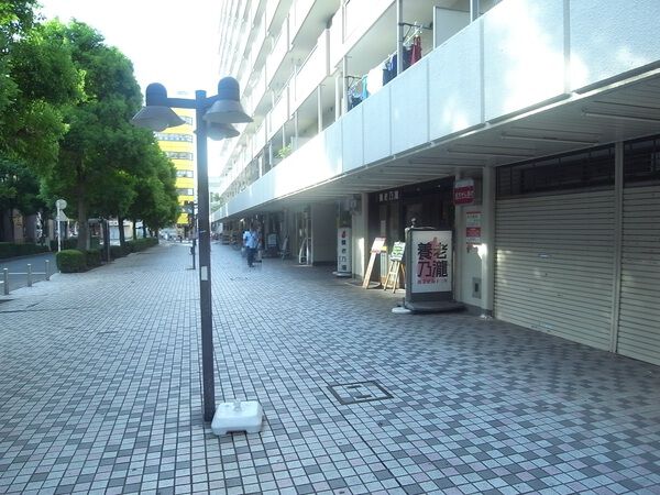 曳舟西ビューハイツ