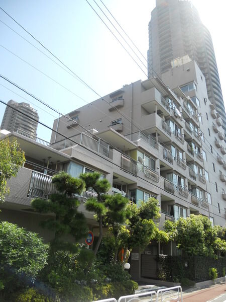 大島ファミール恩賜公園