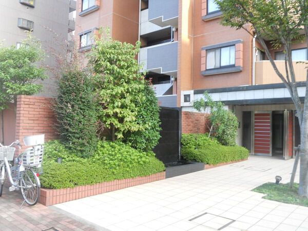 サンクタス亀戸