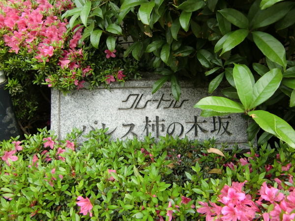 クレードルパレス柿の木坂