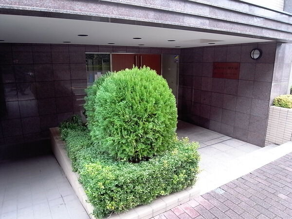 サンフル碑文谷碑さくら通りSOUTH SIDE 3枚目 サンフル碑文谷碑さくら通りSOUTH SIDE