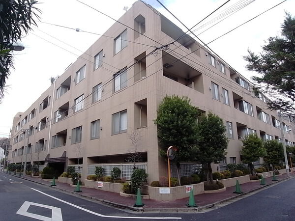サンフル碑文谷碑さくら通りSOUTH SIDE