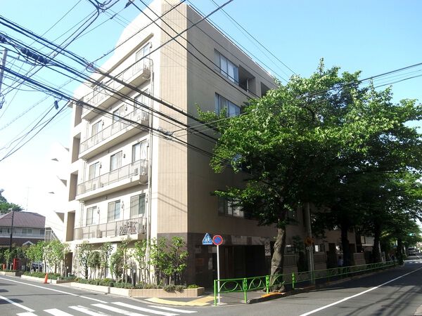サンフル碑文谷碑さくら通りNORTH SIDE