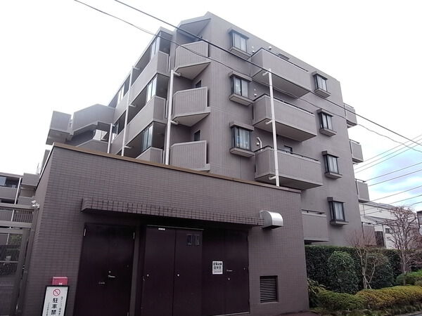 コスモ学芸大学