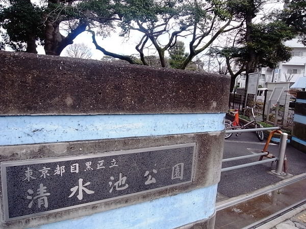 コスモ学芸大学