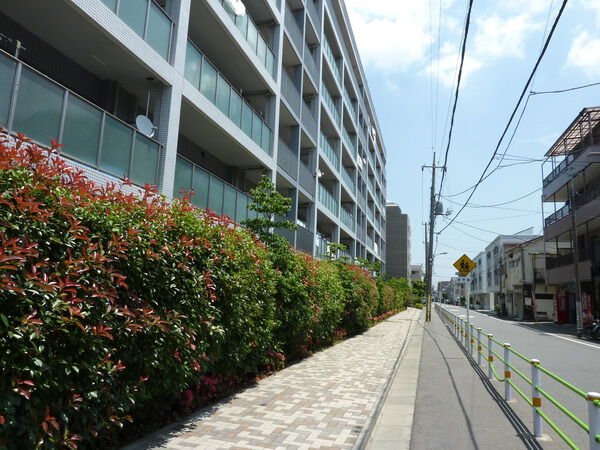 【びゅうパルク新蒲田】前面道路