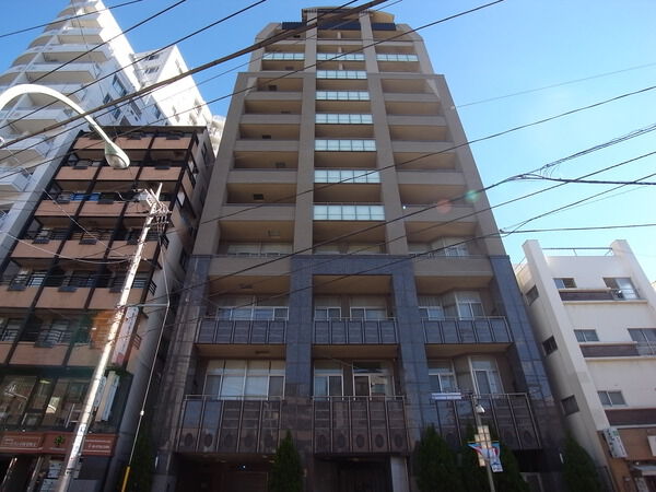 【ハイセレサ奥沢シティタワー】外観 【ハイセレサ奥沢シティタワー】外観