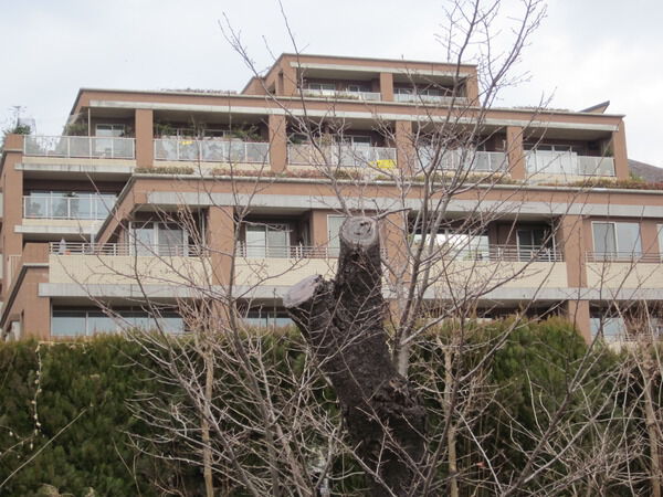 【上野毛ファーストプレイス】外観 【上野毛ファーストプレイス】外観