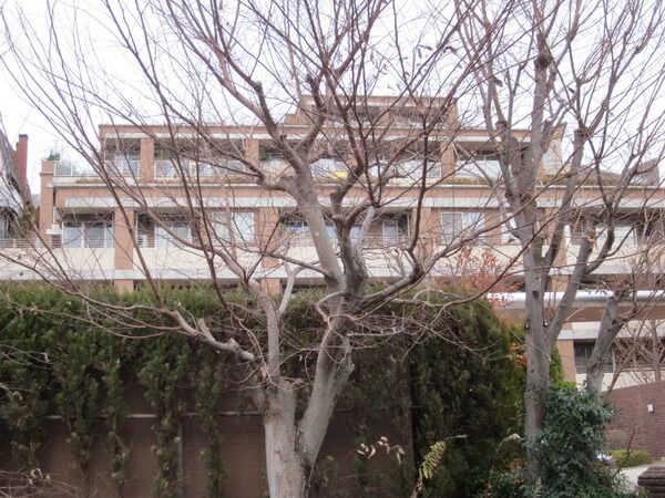 【上野毛ファーストプレイス】外観 【上野毛ファーストプレイス】外観