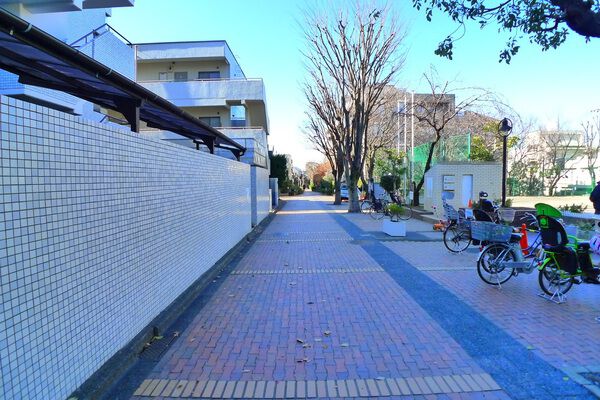 【ルピナス桜丘】前面道路