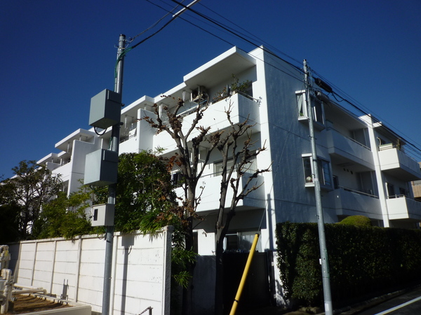 成城サンハイツ 2枚目 成城サンハイツ