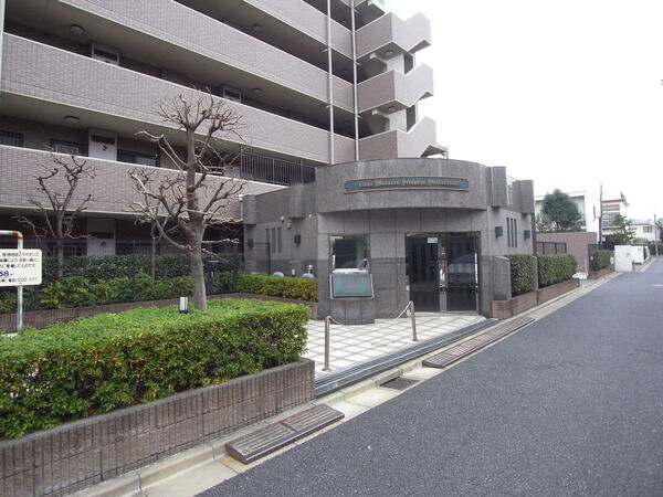 ライオンズマンション世田谷若林 2枚目 ライオンズマンション世田谷若林