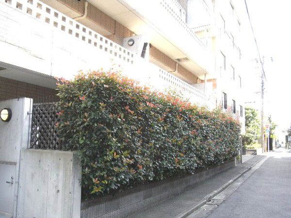 ランドステージ恵比寿 2枚目 ランドステージ恵比寿