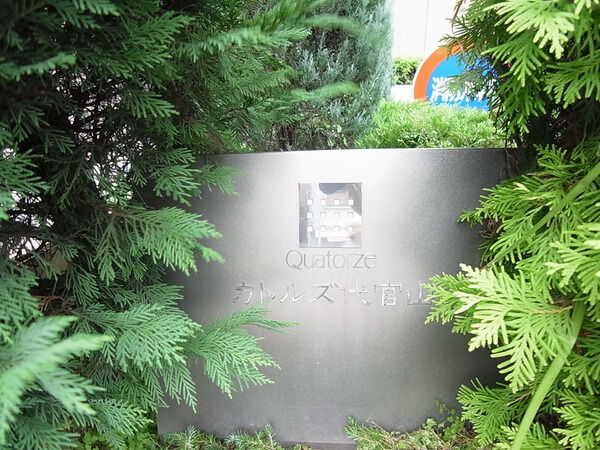カトルズ代官山 4枚目 カトルズ代官山