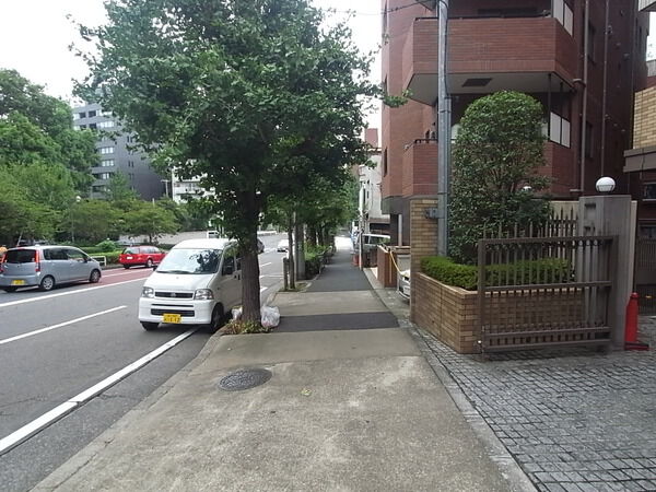 【サンクタス広尾常磐松】前面道路