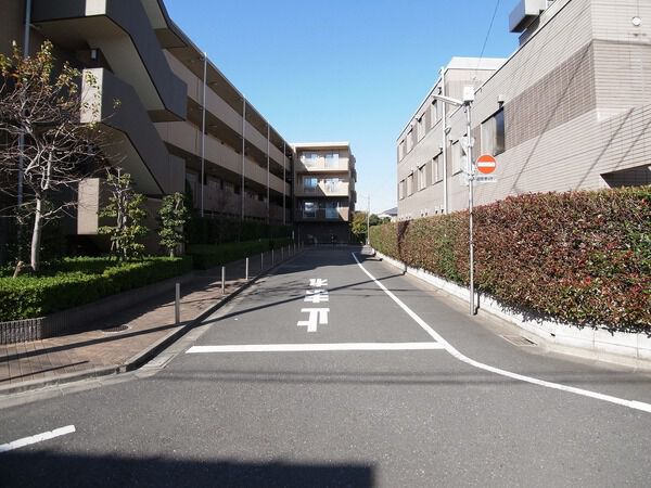 【ライオンズガーデンプラザ鷺ノ宮】東側の前面道路