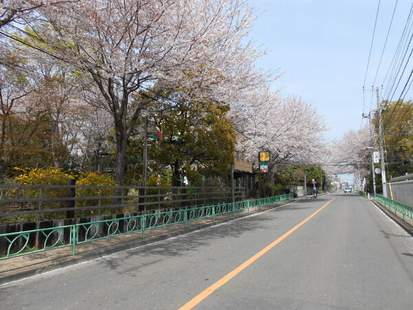 【エクレールコート鷺ノ宮】前面道路