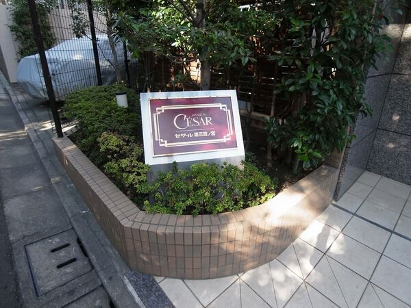 セザール第三鷺ノ宮