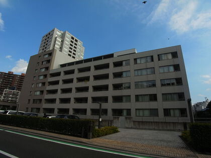 外観 外観