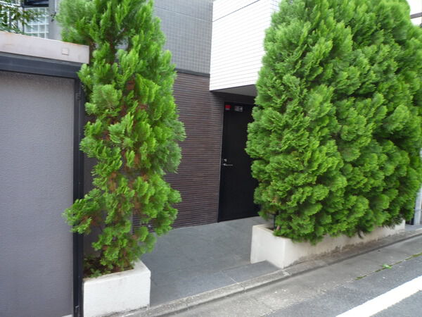 【アトラス大塚南】裏口
