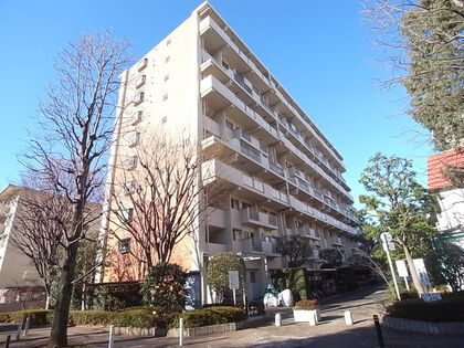 光が丘パークタウンゆりの木通り北住宅