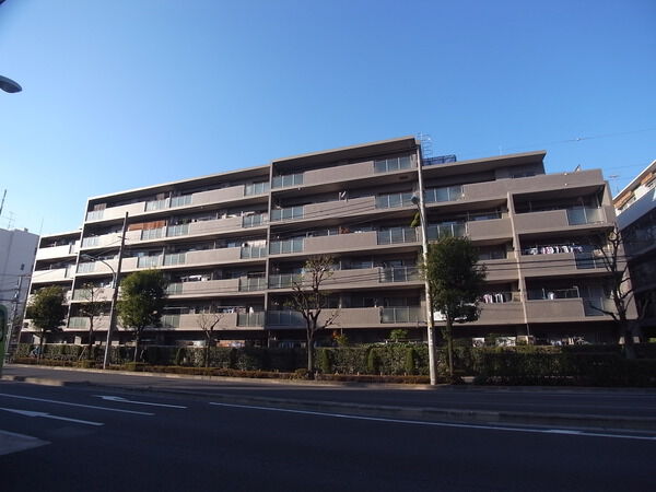 ソフィア志村