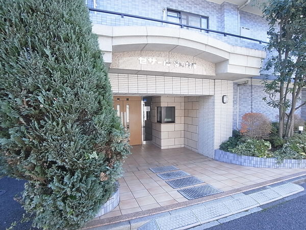 セザール営団成増