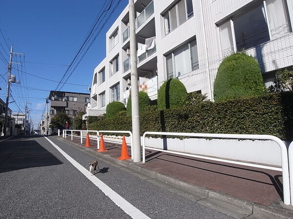 東建ニューハイツ成増 3枚目 東建ニューハイツ成増