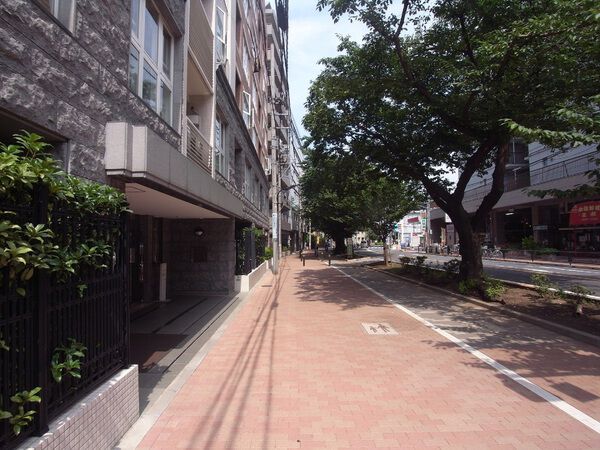 【練馬桜台ガーデンハウス】前面道路