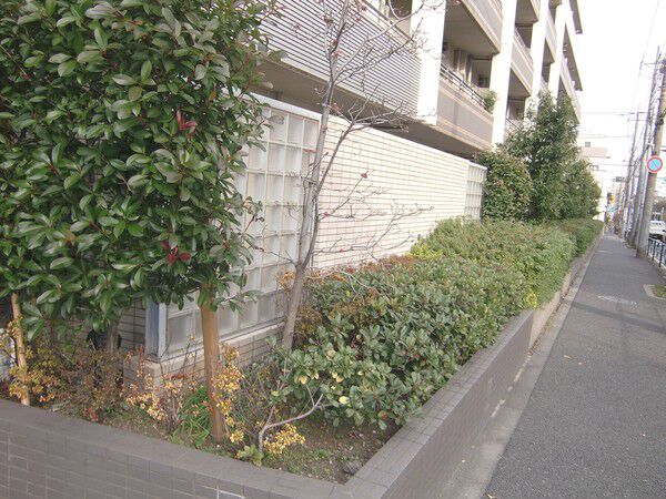 【プラウド石神井台】エントランス横の植え込み