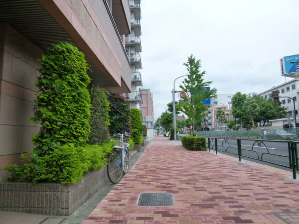 【クリオ新江古田】前面道路