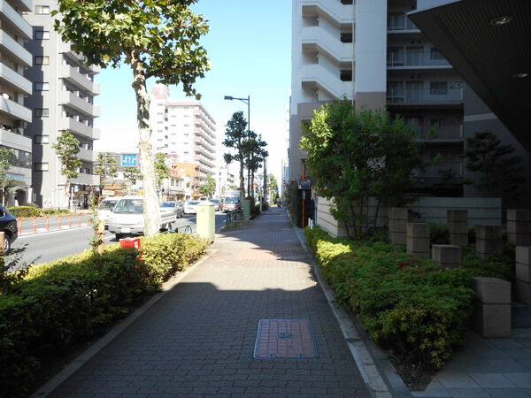 【藤和シティホームズ練馬】前面道路