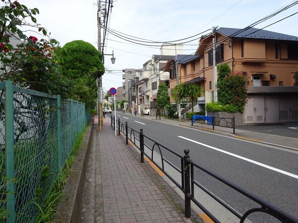 【セイガステージ中村橋】前面道路