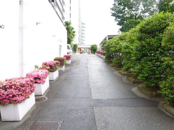 【富士見台マンション】エントランスアプローチ