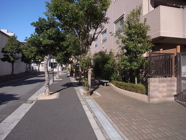 【ライオンズヴィアーレ北綾瀬】前面道路