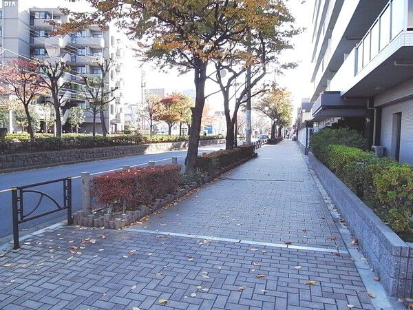 【ローヤルシティお花茶屋】前面道路